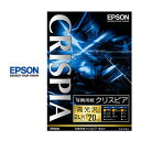 ʐ^p NXsA  2L 20 0.3mm Fx98 K2L20SCKR EPSON Gv\