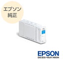 EPSON Gv\  唻CNJ[gbW VA SC18C35