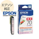 EPSON Gv\  CNJ[gbW  Cg}[^ ICLM70