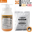 【2セット】 スズメバチ アシナガバチ 殺虫剤 ★最大3,000円クーポン☆ 業務用 ハチバスターPRO 2set 送料無料 捕獲 退治 害虫駆除 誘引捕獲器 捕獲剤 スズメバチ 駆除 ハエ ガ コガネムシ ハチ駆除剤 スズメバチ駆除剤 殺虫剤 誘引剤 アーネスト RSL発送 rlt 60s bnm