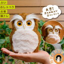 ハッピーふくろう ★最大3,000円クーポン【すぐに遊べる⇒電池付き★包装無料】★ 送料無料 梟 ふくろう フクロウ ぬいぐるみ タカラトミーアーツ ペット し...
