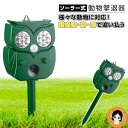 動物 撃退 器 ソーラー ★最大3,000円クーポン☆★ ソーラー多機能警告式害獣撃退器 単品 送料無料 DL-231007 超音波 音 光 防水 猫よけ コウ...