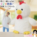 ★最大3,000円クーポン★ニーズ 体操コッコちゃん 送料無料 ぬいぐるみ ラジオ体操 健康習慣 簡単操作 復唱モード ニワトリ にわとり 鶏 モノマネ おしゃべり 人形 ペット しゃべる グッズ 可愛い ものまね おもちゃ 敬老の日 RSL発送 rlt sdf