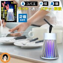 コバエ取り 電気 【2個セット】★最大3,000円クーポン☆ 電気のコバエ取り 2個set 送料無料 電気のコバエとり 駆除 グッズ 電気 蚊取り器 殺虫 コバ...
