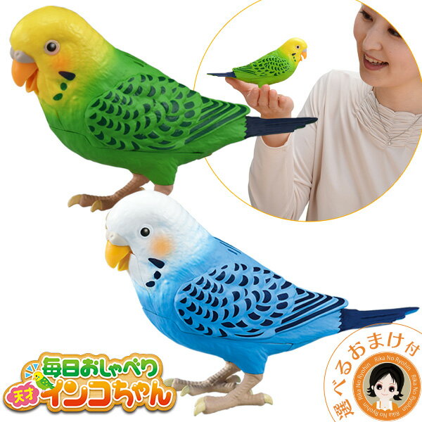 天才インコちゃん ★最大4,000円クーポン選べるおまけ★ 毎日おしゃべり 天才インコちゃん 青色  ...