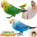 天才インコちゃん ★最大3,000円クーポン選べるおまけ★ 毎日おしゃべり 天才インコちゃん 青色 黄色 送料無料 タカラトミー しゃべる 人形 セキセイインコ...