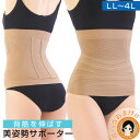 腰 サポーター 美姿勢サポーター ★後払い可☆選べるおまけ☆美姿勢サポーター LL~4L 送料無料 メール便 医学博士監修 勝野浩 薄手 背筋 下腹 ぽっこり ...
