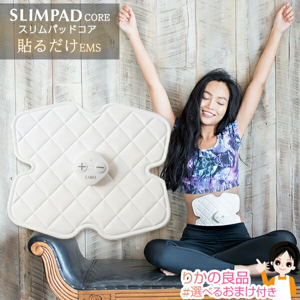 SLIMPAD CORE スリムパッドコア CL-EP-307 