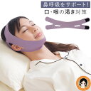 就寝時 フェイスベルト ★最大4000円クーポン☆ 薄型ナイトサイレンサー 単品 送料無料 メール便 鼻呼吸 ベルト 口呼吸防止 口呼吸 サポート 薄型 無縫製...