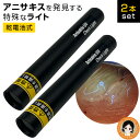 【2本セット】アニサキス チェックライト ★最大3,000円クーポン★ アニサキスチェックライト 2本組 OMC-ANCHL01 送料無料 メール便 乾電池式 ...