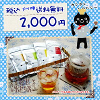 メール便【送料無料】選べる水出し紅茶福袋〜お手軽!簡単!水に入れて冷やすだけで美味しいアイスティーが出来る♪〜【お試し】【ギフト】父の日ギフトにも♪選べるギフトカード