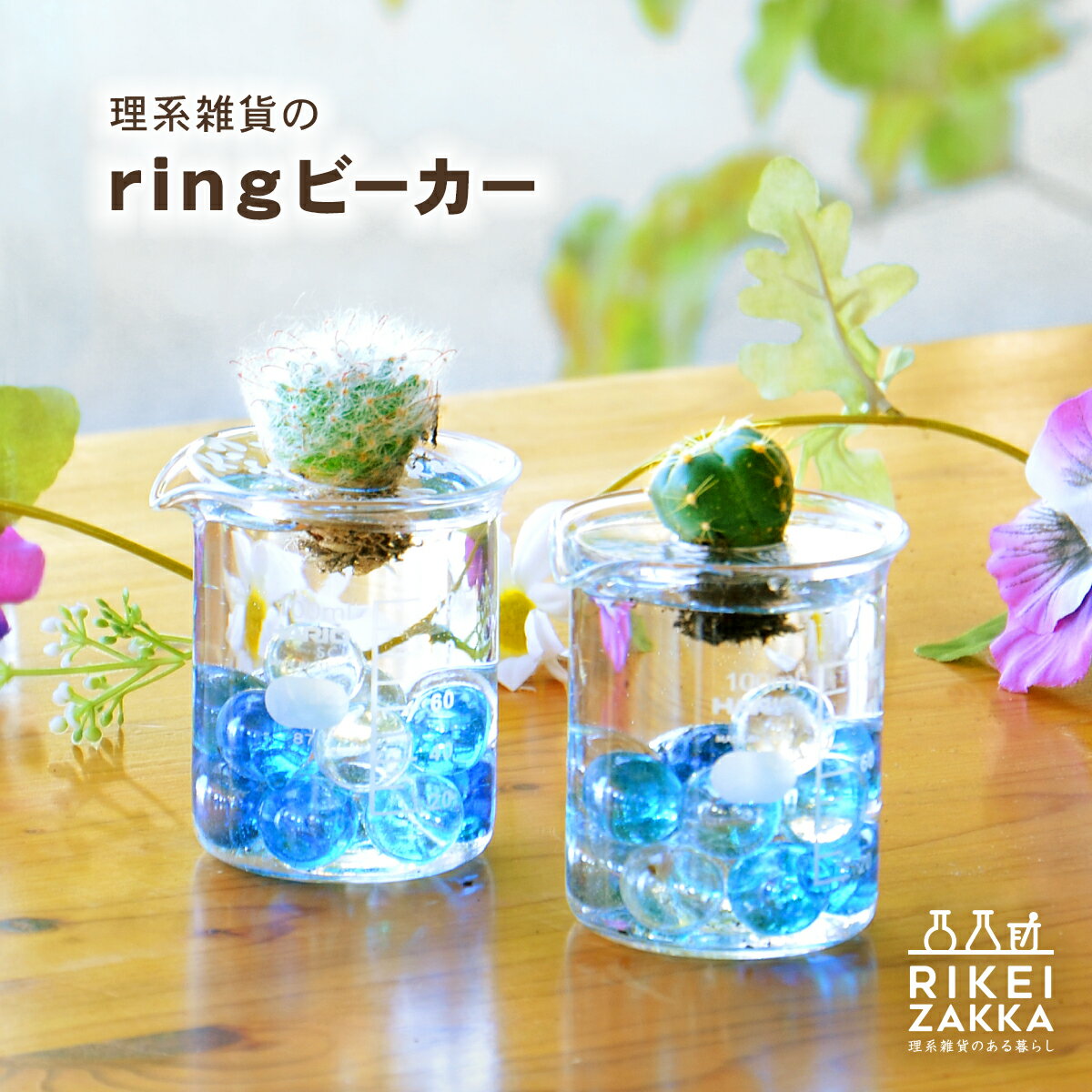 水耕栽培 ring ビーカー 100ml ／ サボテン 多肉植物 花瓶 ポット ギフト プレゼント 誕生日 グリーン アクリルリング付き 理系雑貨