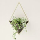 umbra 花器 植木鉢 鉢植え用 プランター 吊り下げ インテリア シンプル モダン ナチュラル おしゃれ お洒落 ブラック アンブラ L SW22×D10....