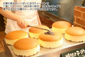 【公式】1個入り りくろーおじさんの店 焼きたてチーズケーキ 18cm 6号サイズ スフレチーズケーキ 大阪土産