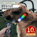 \ポイント10倍/犬 首輪 光る 光る首輪 Bluetooth USB 充電式 散歩 首輪 ライト 夜散歩 防水 LED ライト 明るい サイズ調整可 柔らかい 小型犬 中型犬 大型犬 猫 軽量 簡単着脱 夜間 散歩 安全対策 ペット用品 便利 ライトモードから選択可能