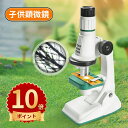 \10倍ポイント/顕微鏡 小学生 子供用 200~1200倍 夏休み 自由研究 キット 子供 中学生 顕微鏡セット 観察 生き物 学習 マイクロスコープ プレパラート付 生物顕微鏡 対象年齢 8歳以上 小学校 理科 生物 科学 化学 植物 生物 実験