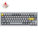 Keychron Q2 QMK カスタム・メカニカルキーボード ノブバージョン シルバーグレー 赤軸 Q2-N1-US