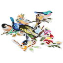 13PCSさまざまな種類の鳥のパッチ、動物の衣類のアイロン接着刺繍パッチ、ジャケット、帽子、バックパック、ジーンズ、DIYの衣類用の縫い付け/アイロン接着パッチ...