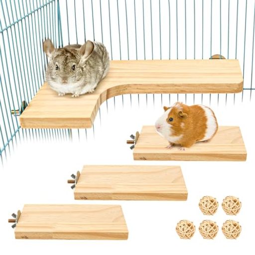 3å ڥå ưʪ L ʡơ ϥॹΥƥå Ƨ ޥꥹ   ӥȥȥ 饱...