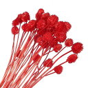PATIKIL16”花瓶用乾燥花30個ミニパインボールフラワー自然な花束まとまりホームウェディングデコレーションパーティー用レッド(茎)