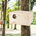 鳥の家、木製の耐久性のある鳥の巣箱オカメインコ鳥の繁殖箱、屋外用の吊り鳥小屋、庭のパティオの装飾的な装飾