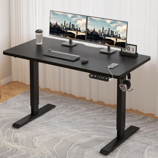 RADLOVE 昇降デスク パソコンデスク 電動昇降式デスク 天板幅110CM×奥行60CM ゲーミングデスク 机 スタンディングデスク PCデスク つくえ 高さ調節可能 メモリー機能付き 高さ 71~117CM