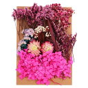 PATIKILナチュラルドライフラワー複数のカラフル本物のドライ押し花植物クラフト樹脂ソープキャンドルスクラップブッキング用ローズレッド