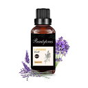 BEAUTYTREES 大容量50ML ラベンダー 精油 ラベンダーオイル エッセンシャルオイル 天然100% LAVENDER ESSENTIAL OIL ア...