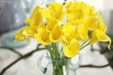 造花枯れない花オランダカイウcallylilyアレンジ20本花束結婚式パーティー様々なイベント室内インテリア造花(ライトイエロー)
