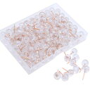画鋲(プラスチック+金属/約100個入り/10MM*20MM)球状押しピン 画びょう プラスチック画鋲 透明ピンクゴールド 可愛い画鋲 洋裁用画鋲 文具画鋲 事務用品 コルク板/ポスター/マップ/ポストイットノート/写真/刺繍/カレンダー 固定用(3)