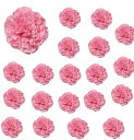 siawadekyカーネーション造花花のみ20個セット花びら人工花頭シルク花フェイクフラワー枯れない花花輪ヘアアクセサリーDIY手作業母の日ウエディングパーティ...