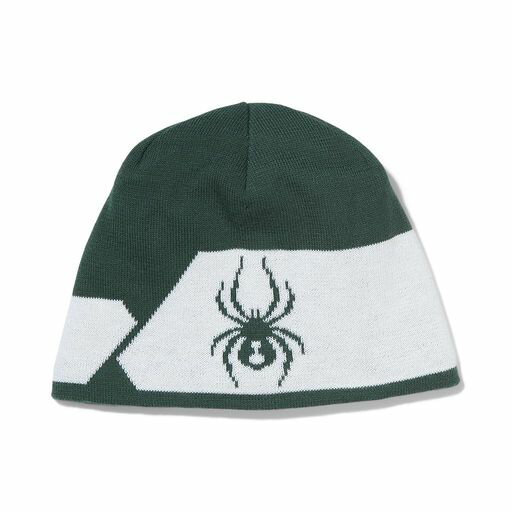 [スパイダー] メンズ ニットキャップ (蜘蛛ロゴ・フリース) [ 38D555328 / SHELBY ] 帽子 スキー CYPRESS GREEN O/S