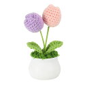 PATIKILクロシェフラワー鉢植え手作りニットミニ鉢植えチューリップフラワーバレンタインギフトや家庭やオフィステーブル装飾に最適な人工花です。ピンクとパープル...