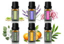 CYWINFOW 精油 アロマオイル 100%天然植物由来 エッセンシャルオイル 10ML (標準サイズ スイートオレンジ/ラベンダー/レモングラス/ユーカリ/...