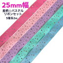 【ラッピングファクトリー】星 デザイン キラキラ ゆめかわ パステル リボンセット 25MM幅 各2M 5種セット