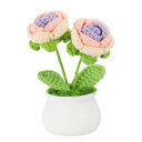 PATIKILクロシェフラワー鉢植え2つヘッドローズフラワー手作りニットミニ鉢植えバレンタインギフト家庭やオフィステーブル装飾に最適グラデーションピンクパープル