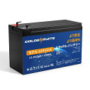 GOLDENMATE 12.8V 10AH LIFEPO4バッテリー リン酸鉄リチウムイオンバッテリー 128WH BMS内蔵10A 2000以上のサイクル 小...