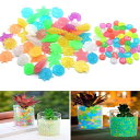夜光石【100個セット】金魚鉢アアクアリウム石蓄光石DIYアクアリウム用品、ミックスカラー、花瓶用ガーデンアクセサリー、水槽、ガーデニング、コテージガーデニング造園など