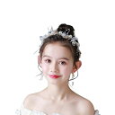 DFSUCCES 髪飾り カチューシャ フラワー パール ヘアアクセサリー 職人の手作り 発表会 入学式 卒業式 写真撮影 プレゼント 女の子