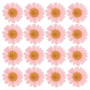 PATIKIL48個ドライ押し花ナチュラルドライデイジーフラワーDIYアートクラフト家の装飾ネイルデコレーション用ピンク