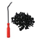 240個 リテーナーバンパークリップ 4サイズ径 車用プラスチックプッシュリテーナークリップ 6.3MM 8MM 9MM 10MM 2個ファスナーリムーバーキット付き ファスナーリベットクリップ拡張ネジ自動交換(2)
