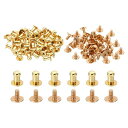 PATIKIL4MM衣類用スタッズ50セットスタッズレザーリベットコーンスボタンヘッドメタルスクリュースタッズポストレザークラフト用金色トーン
