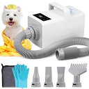 NEWTRY ペットドライヤー LCD 犬用 ペット用 ドライヤー ブロワー 送風機 マイナスイオン 騒音低減 5段階風量調整 35〜60°C温度調整 4つのノ...