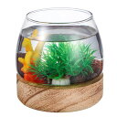 IPLUSMILE 金魚鉢 メダカ 水槽 小型水槽 ガラス 透明 10CM*9.5CM 容器 丸型 タートルタンク テーブル ボウル 水培 おしゃれ 小さな魚の...