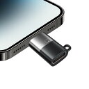 Type C to 変換アダプタアルミニウム合金外装コネクタ急速充電USB Cアダプタ 14/13/12(2)