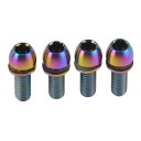自転車チタンブレーキ固定ボルトボールヘッドM6x18 20mm 4本 (レインボー, M6x18mm)