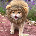 猫被り物 ライオン 犬 猫用ウィッグ ペット用帽子 可愛いペット用 ウィッグ 犬 猫用帽子 コスプレキャップ 変身 ハロウィン クリスマス 調節可能 着脱簡単