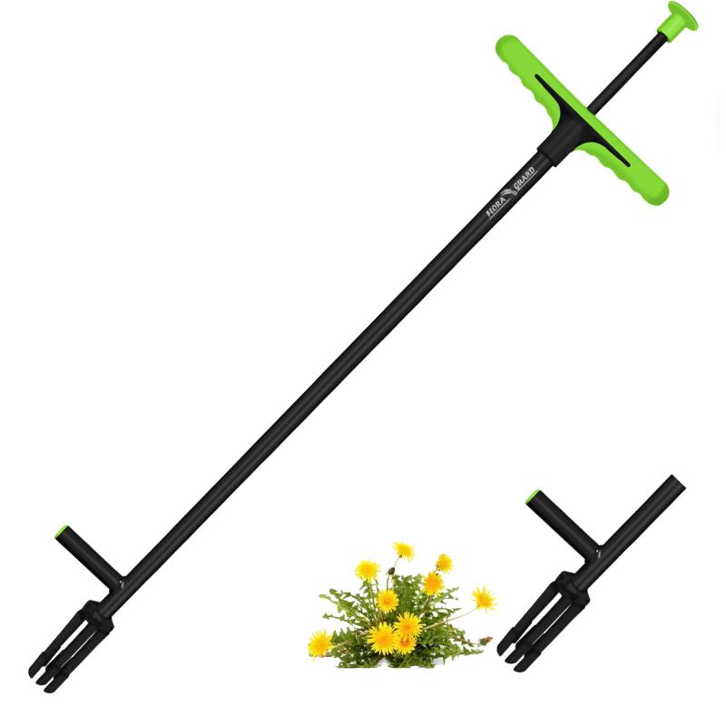 101CM ȴ ƻ եåȥץ졼Ȥ4ܤޤʤʤ𴢤굡