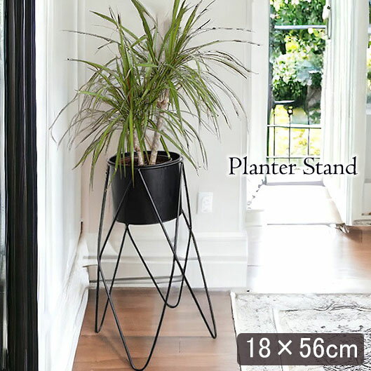 [P2]811()1:59ޤ  ǥ˥ ץ󥿡 ȭС ⤵56cm    ƥꥢ 衼ԥ ̵