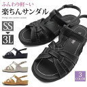 ウェッジサンダル レディース サンダル ウェッジヒール 幅広 3E 厚底 4cm T ストラップ コンフォートサンダル 黒 ブラック ベージュ パール 大きい ...